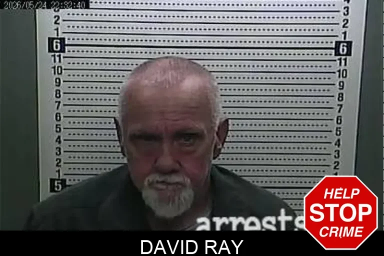 David Ray