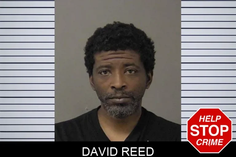 David Reed