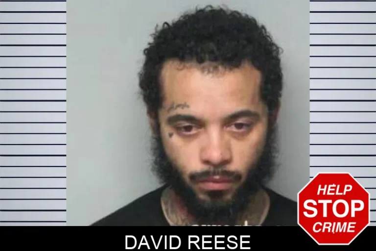 David Reese