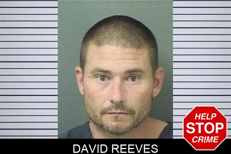 David Reeves