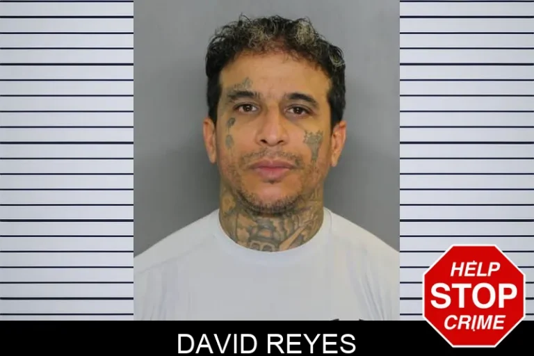David Reyes