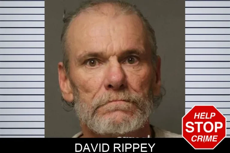 David Rippey