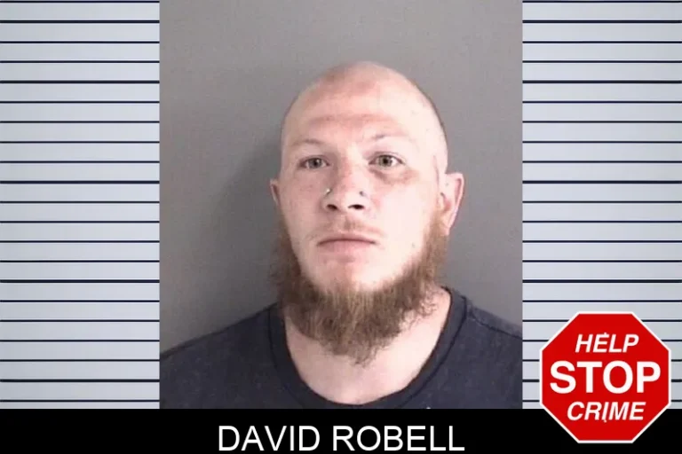 David Robell