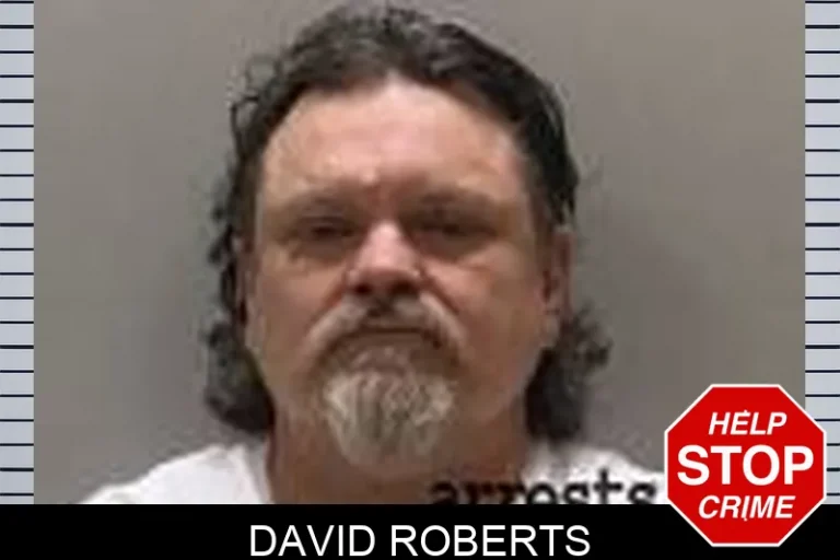 David Roberts