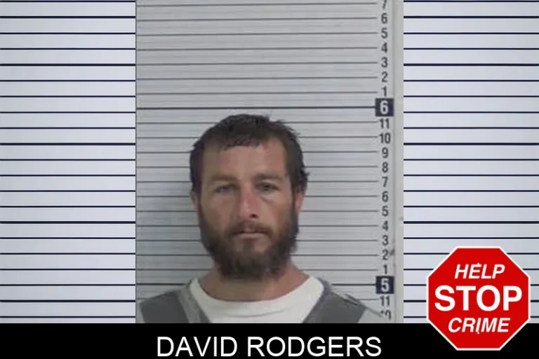David Rodgers