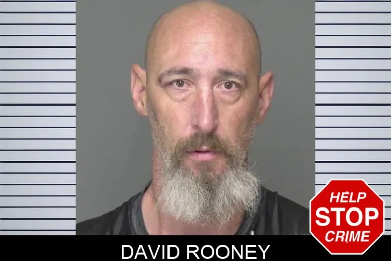 David Rooney