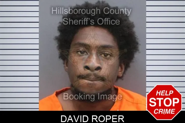 David Roper