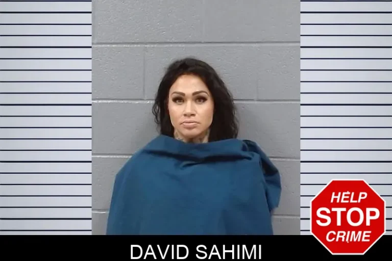David Sahimi