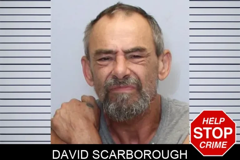 David Scarborough