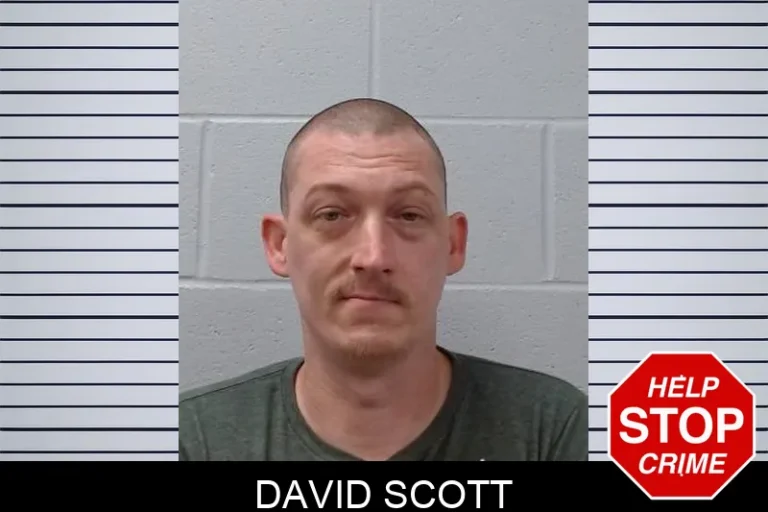 David Scott
