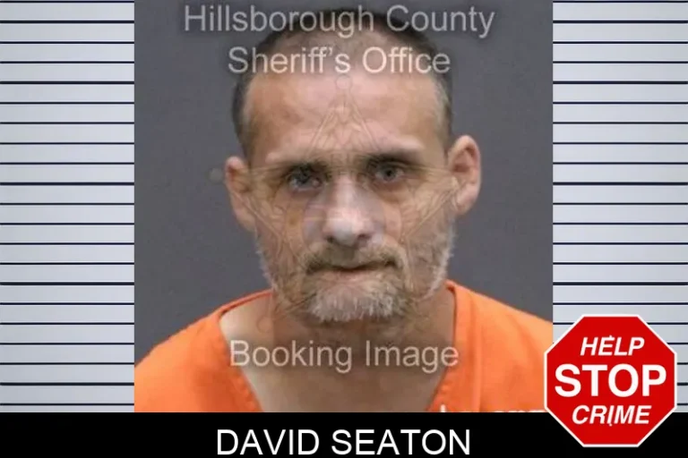 David Seaton