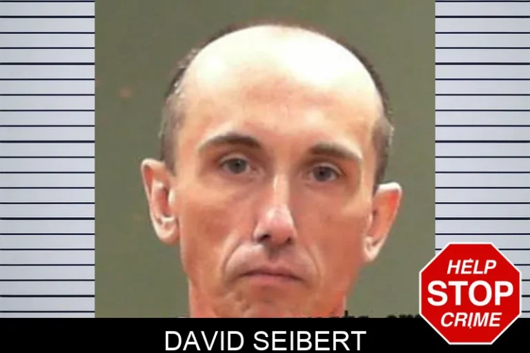David Seibert