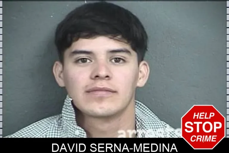 David Serna-Medina