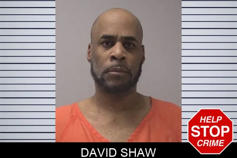 David Shaw
