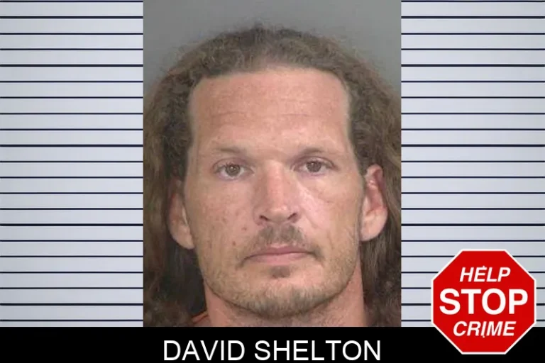 David Shelton
