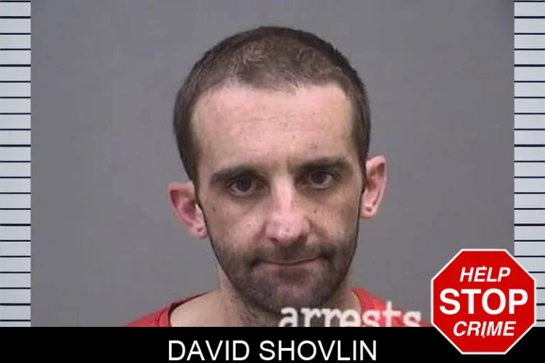 David Shovlin
