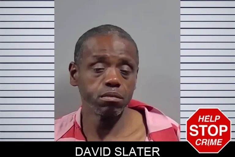 David Slater