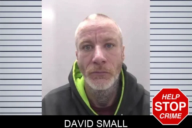 David Small