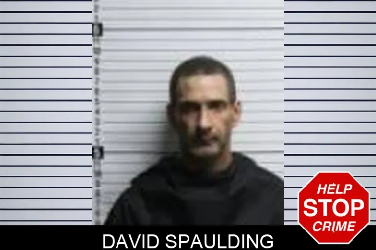 David Spaulding