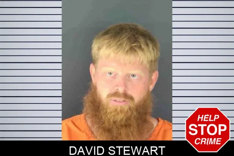 David Stewart