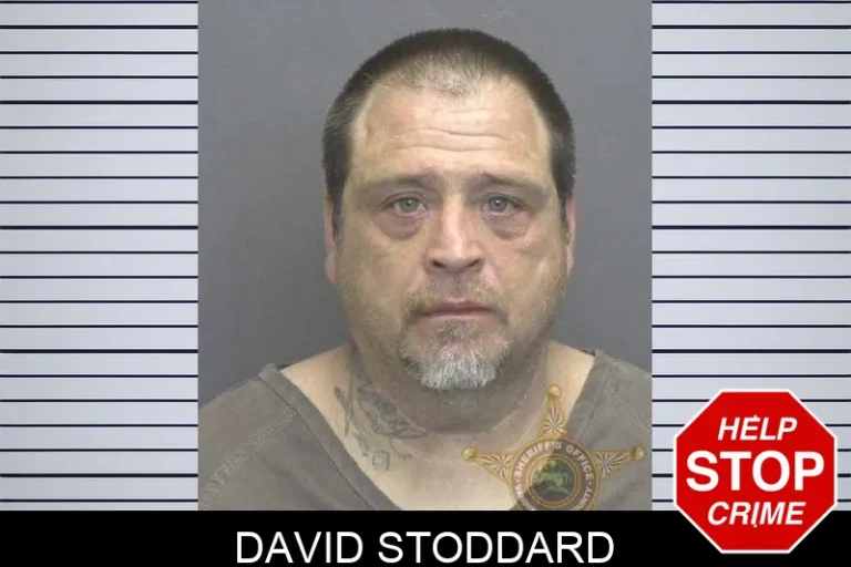David Stoddard