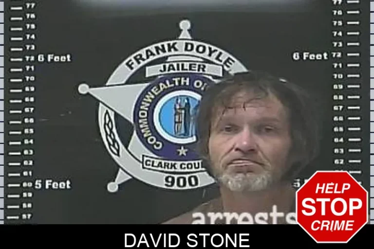 David Stone