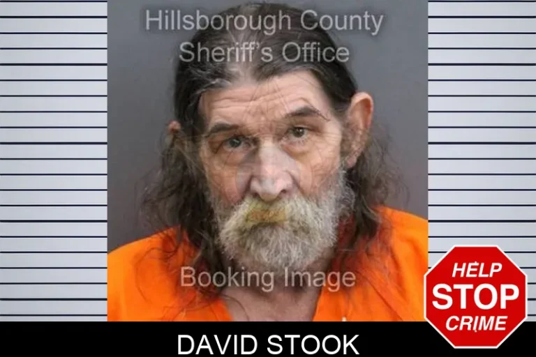 David Stook
