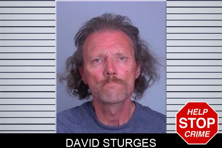David Sturges