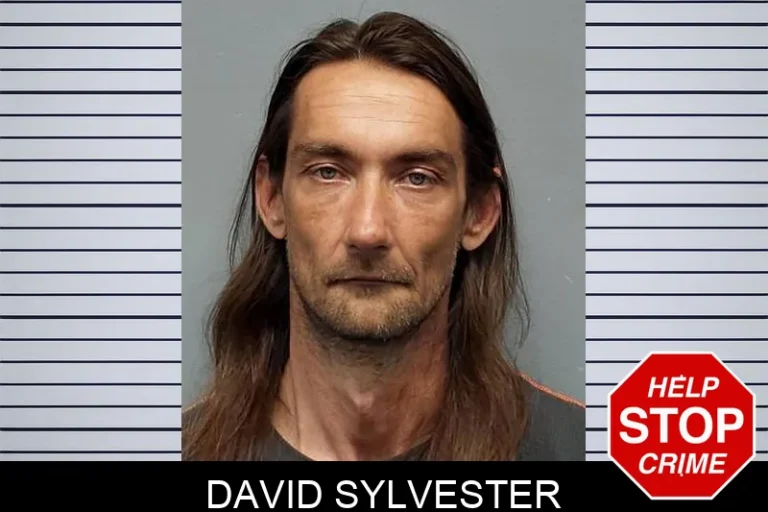 David Sylvester