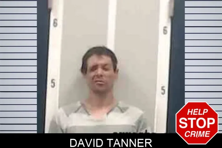 David Tanner