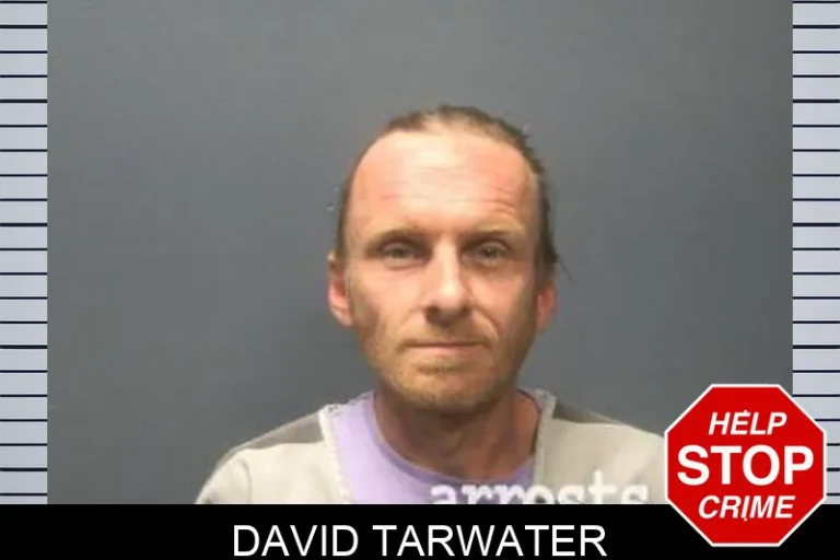 David Tarwater