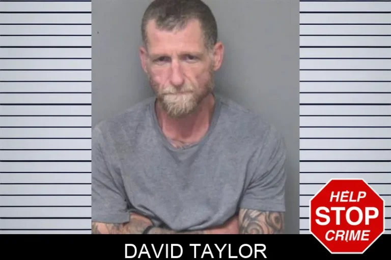 David Taylor
