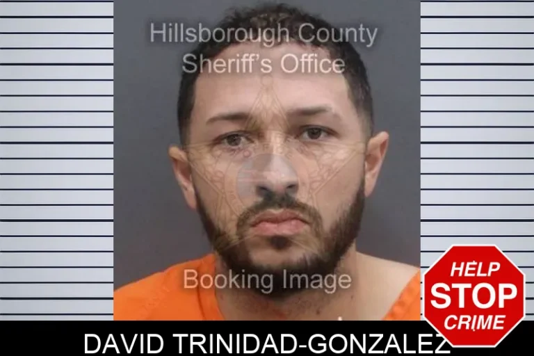 David Trinidad-Gonzalez