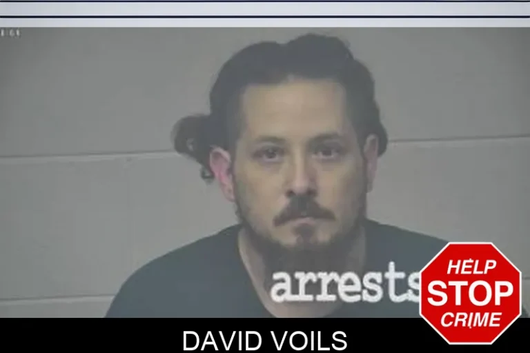 David Voils