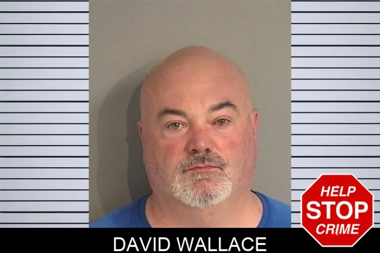 David Wallace