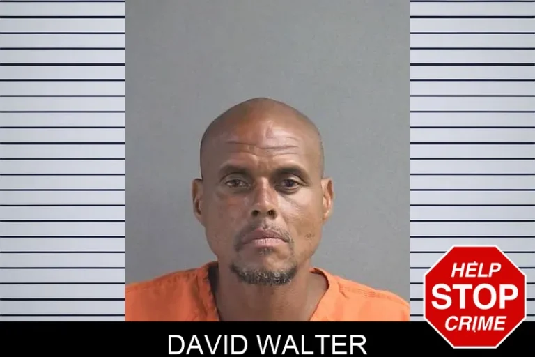 David Walter