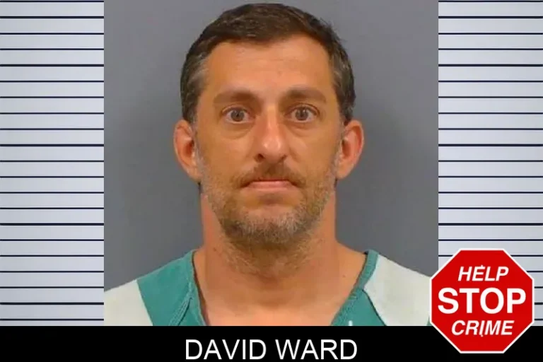 David Ward