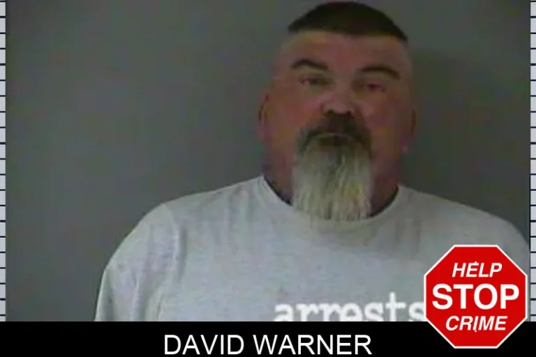 David Warner