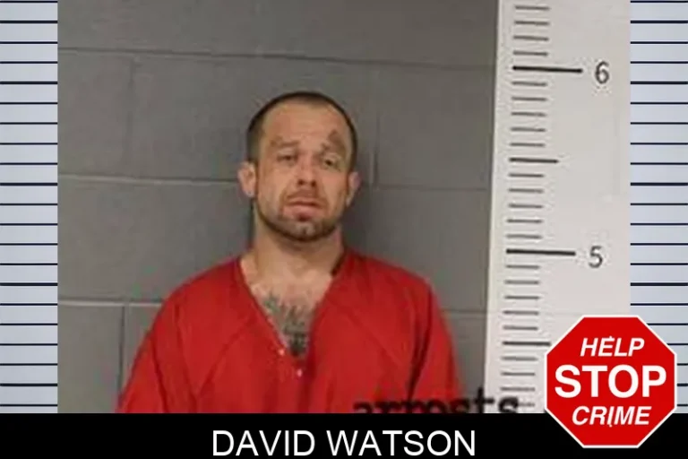 David Watson