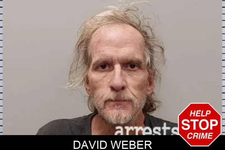 David Weber