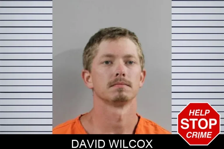 David Wilcox