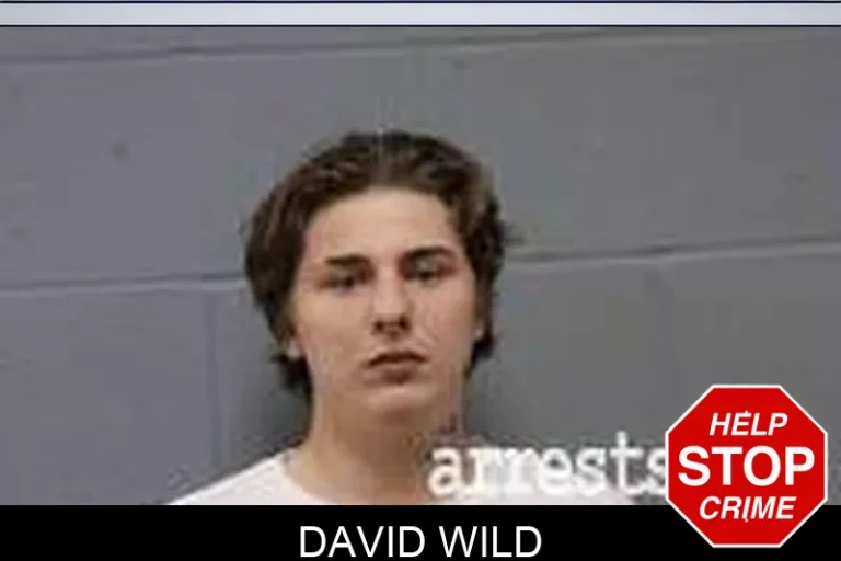 David Wild