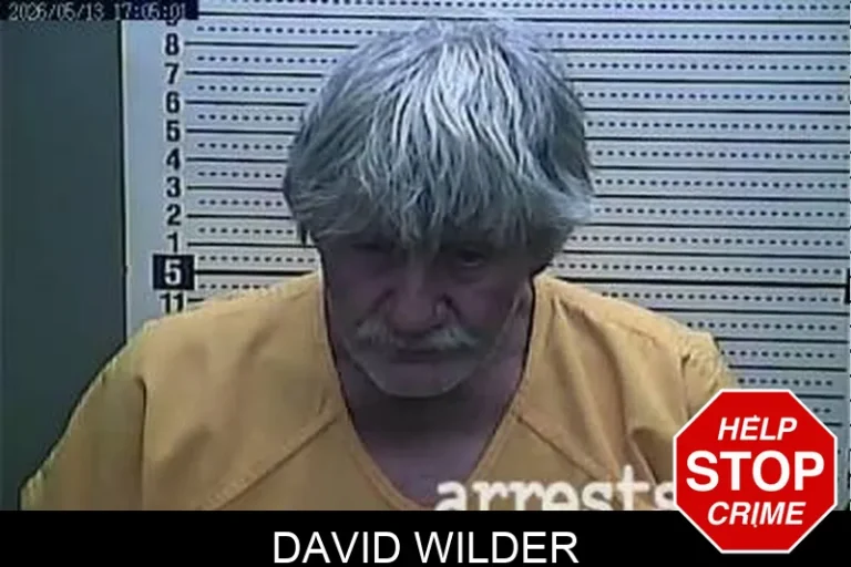 David Wilder