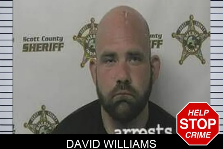 David Williams