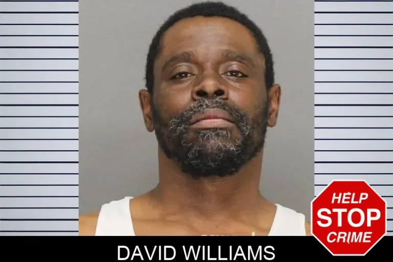 David Williams