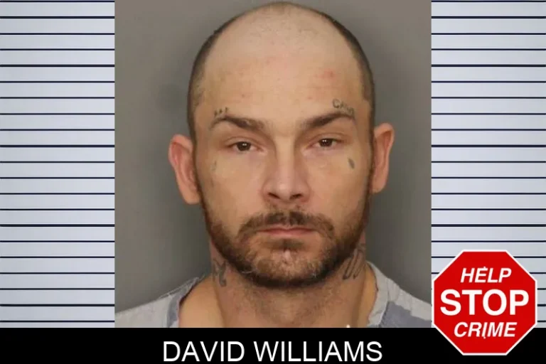 David Williams