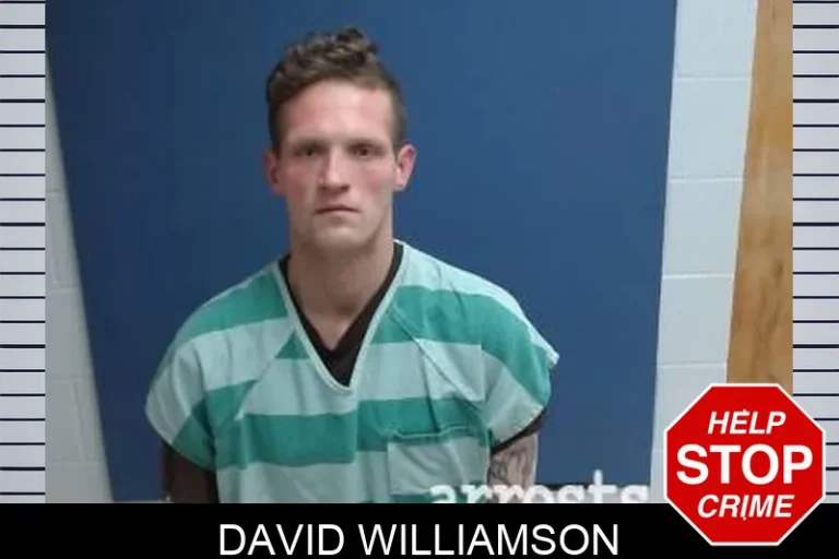 David Williamson