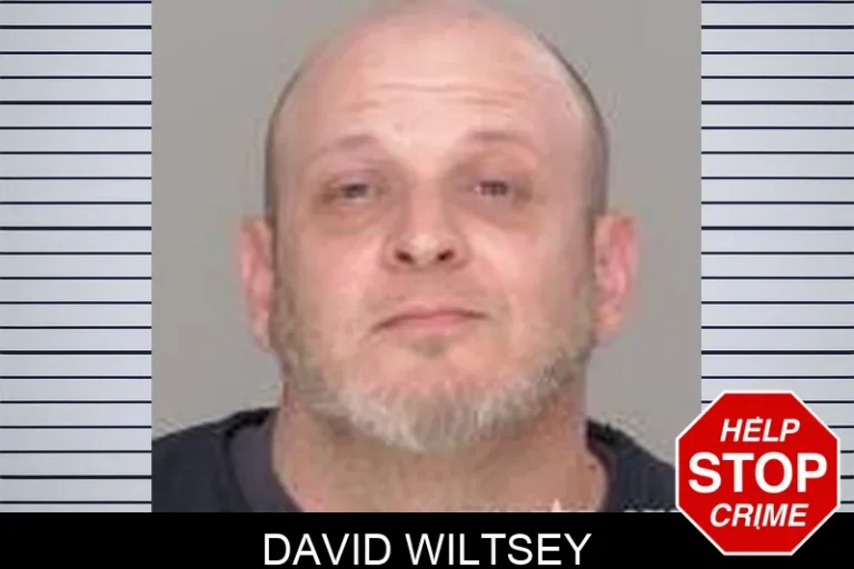 David Wiltsey