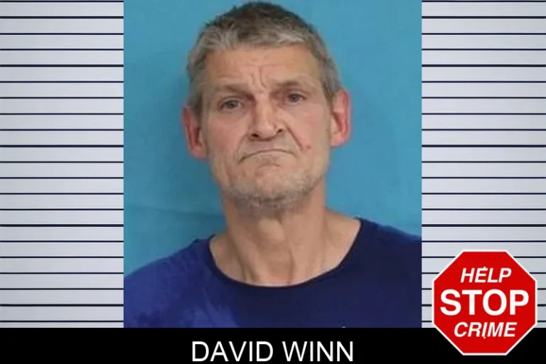 David Winn