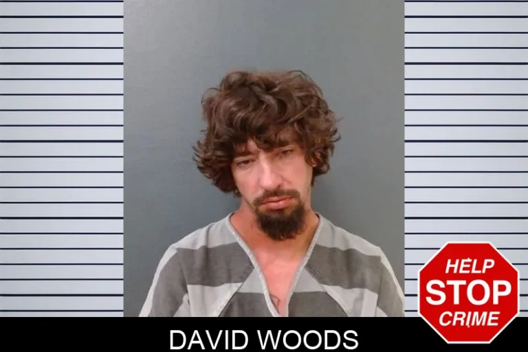 David Woods